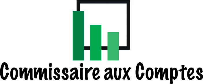 www.commissaireauxcomptes.tv